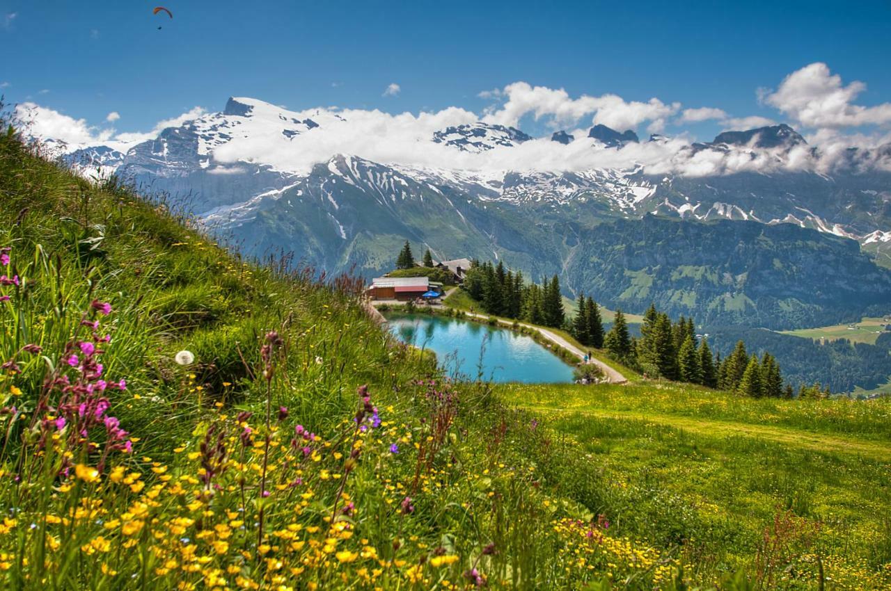 Berglodge Ristis Engelberg Exterior photo